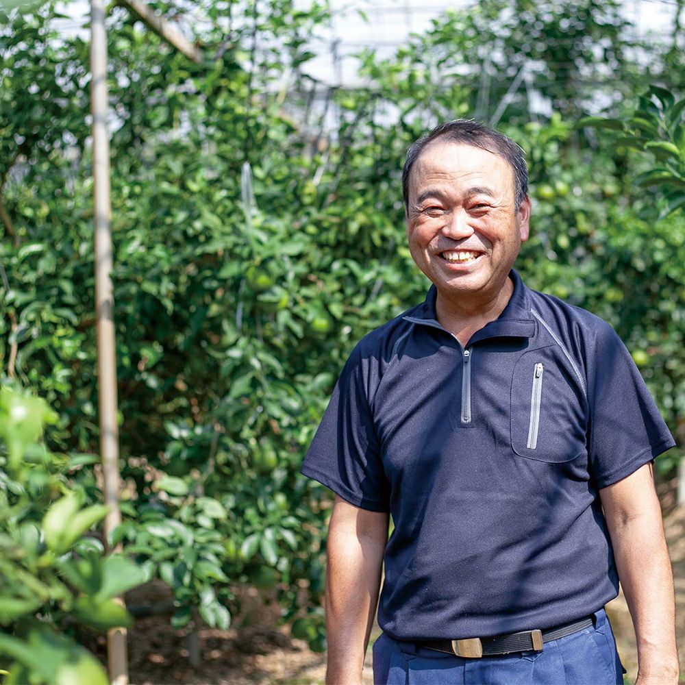 鹿児島県産 大将季 5キロ 5L～2Lサイズの商品画像02