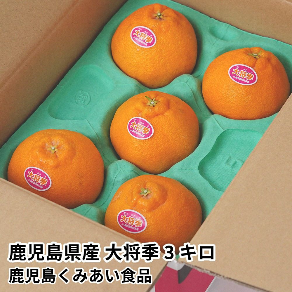 鹿児島県産 大将季 3キロ 5L～2Lサイズの商品画像01