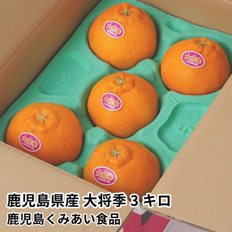 鹿児島県産 大将季 3キロ 5L～2Lサイズの商品画像01