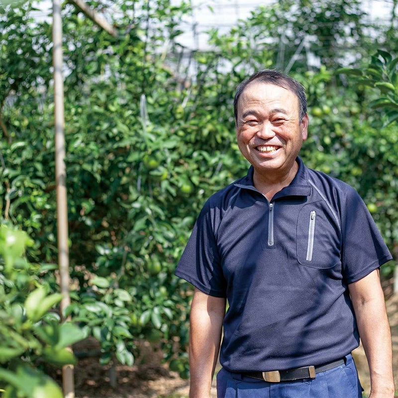 鹿児島県産 大将季 1.4キロ 3L・2Lサイズの商品画像02
