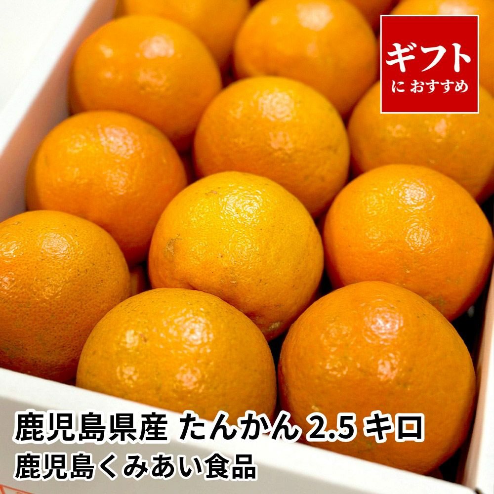 ✨激安価格✨GW‼️価格✨美品✨旧鹿児島市内⚠️配送設置込✨5ドア✨パナソニック✨411L✨ SHINYA様専用 【公式通販】