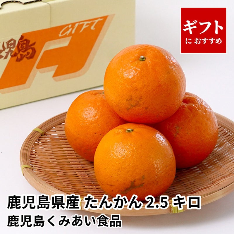鹿児島県産 たんかん 2.5キロ 2L～Mサイズの商品画像01