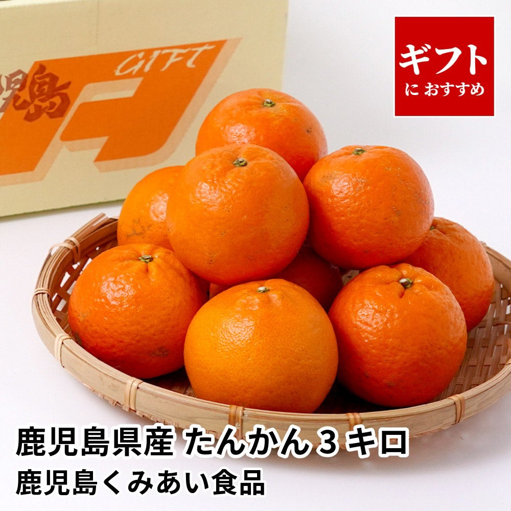 鹿児島県産 たんかん 3キロ 2L～Mサイズの商品画像01