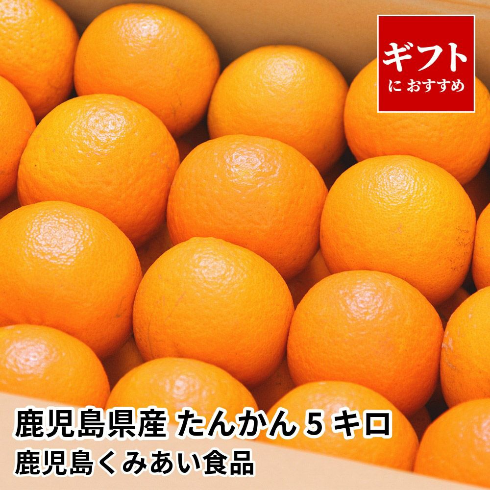 鹿児島県産 たんかん ギフト用 5キロ 2L～Mサイズのギフト通販・お