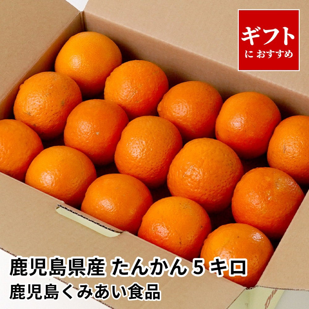 鹿児島県産 たんかん 5キロ 2L～Mサイズの商品画像01