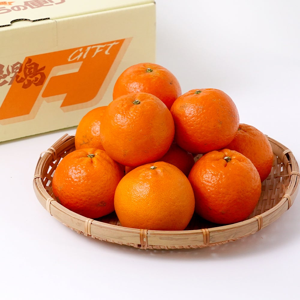 鹿児島県産 たんかん 5キロ 2L～Mサイズの商品画像01