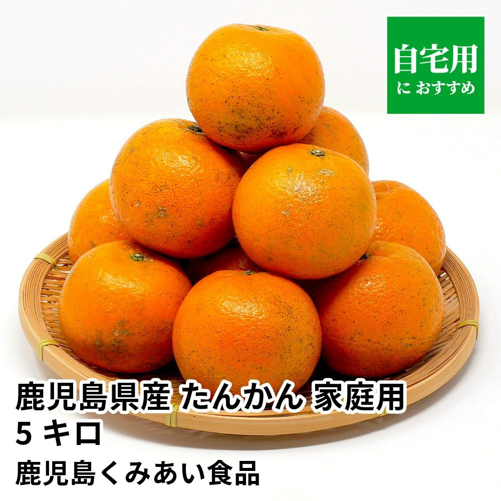 鹿児島県産 たんかん ご家庭用 5キロ 4L～2Sサイズの商品画像01