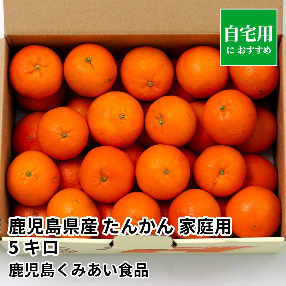 鹿児島県産 たんかん ご家庭用 5キロ 4L～2Sサイズの商品画像01
