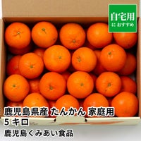 鹿児島県産 たんかん ご家庭用 5キロ 4L～2Sサイズの商品画像01