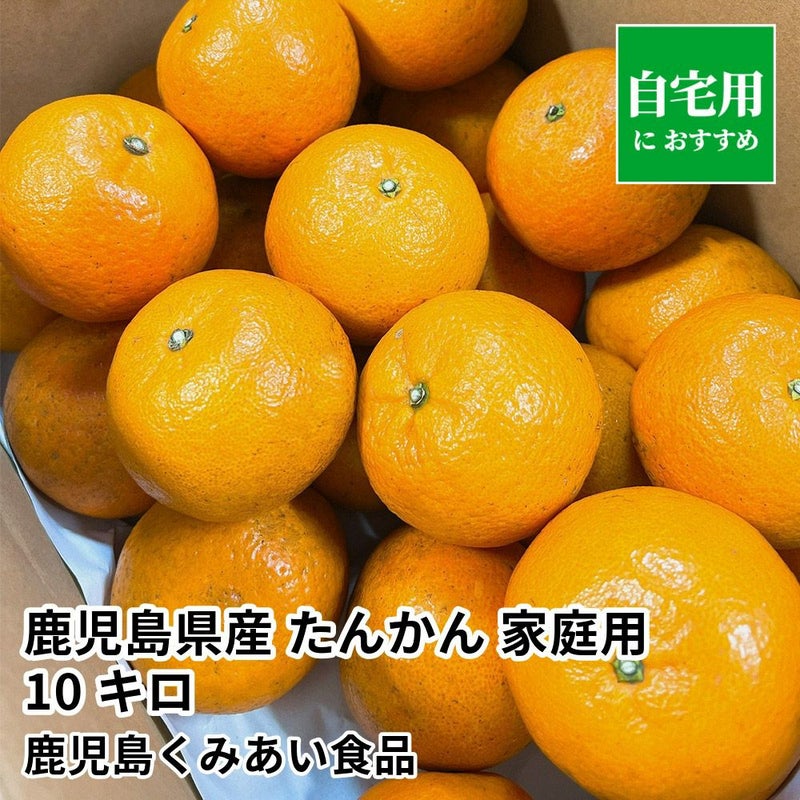 鹿児島県産 たんかん 家庭用 10キロ 4L～2Sサイズの商品画像01