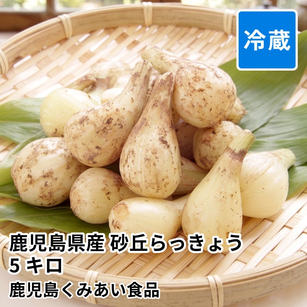 鹿児島県産 砂丘らっきょう 3キロのギフト通販・お取り寄せ | JA鹿児島