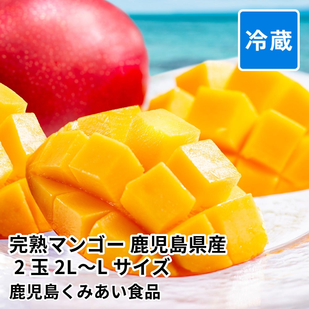 完熟マンゴー 鹿児島県産 2玉 2L～Lサイズの通販・お取り寄せ | JA