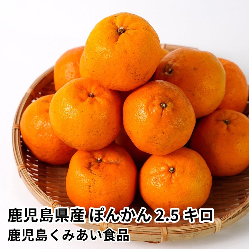 鹿児島県産 ぽんかん 2.5キロ 2L～Mサイズ
